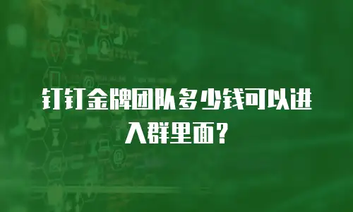 钉钉金牌团队多少钱可以进入群里面？