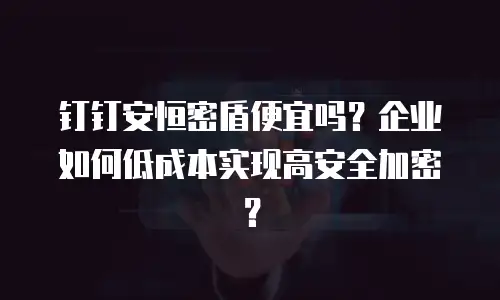 钉钉安恒密盾便宜吗？企业如何低成本实现高安全加密？