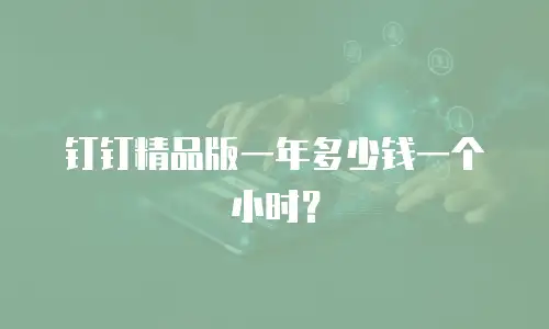 钉钉精品版一年多少钱一个小时？