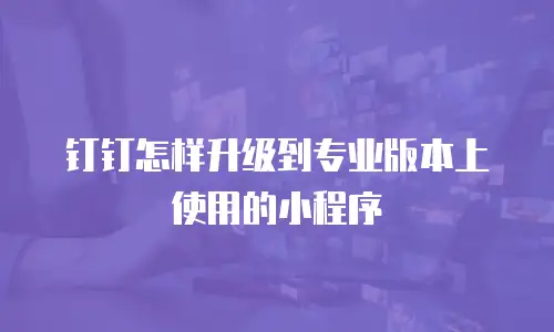 钉钉怎样升级到专业版本上使用的小程序