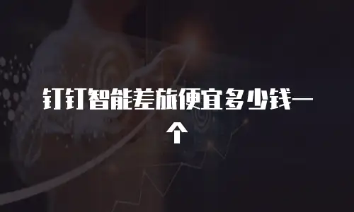 钉钉智能差旅便宜多少钱一个