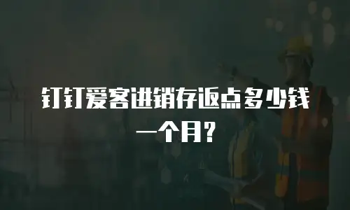 钉钉爱客进销存返点多少钱一个月？
