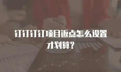 钉钉钉钉项目返点怎么设置才划算？