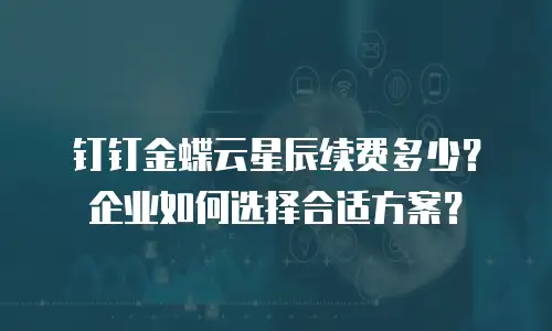 钉钉金蝶云星辰续费多少？企业如何选择合适方案？
