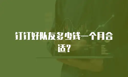 钉钉好队友多少钱一个月合适？