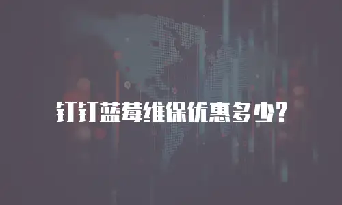 钉钉蓝莓维保优惠多少？