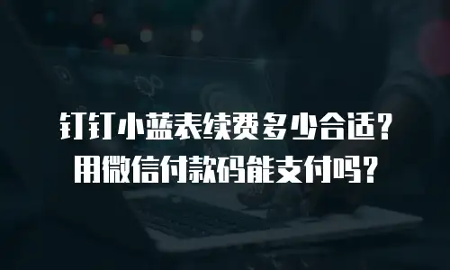 钉钉小蓝表续费多少合适？用微信付款码能支付吗？
