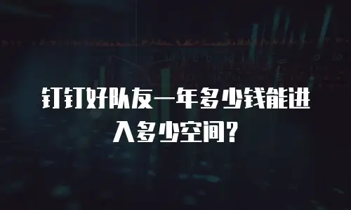 钉钉好队友一年多少钱能进入多少空间？