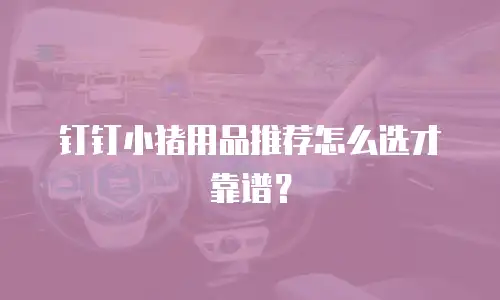 钉钉小猪用品推荐怎么选才靠谱？