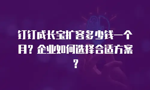 钉钉成长宝扩容多少钱一个月？企业如何选择合适方案？