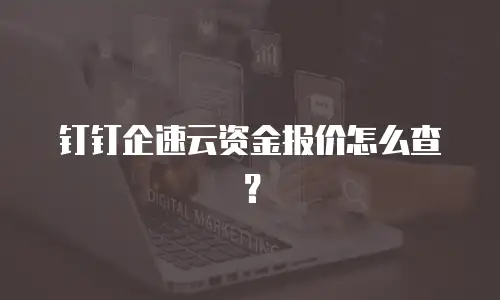 钉钉企速云资金报价怎么查？