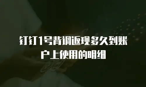 钉钉1号背调返现多久到账户上使用的明细