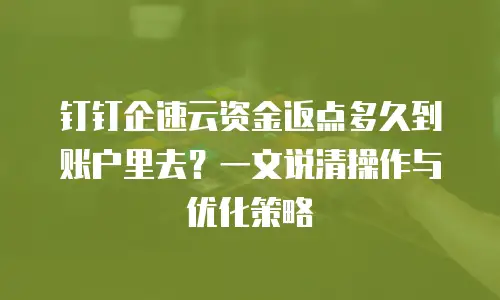 钉钉企速云资金返点多久到账户里去？一文说清操作与优化策略