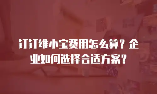 钉钉维小宝费用怎么算？企业如何选择合适方案？
