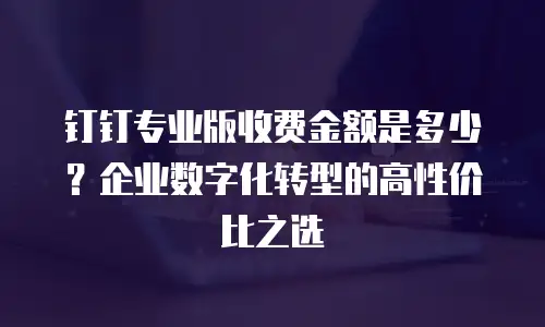 钉钉专业版收费金额是多少？企业数字化转型的高性价比之选