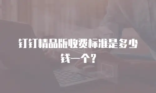 钉钉精品版收费标准是多少钱一个？