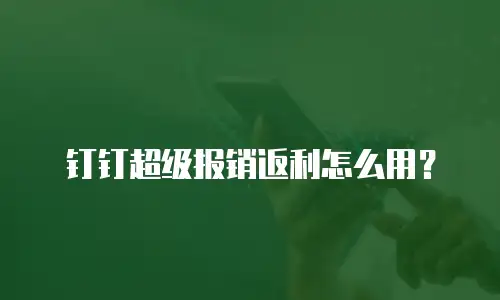 钉钉超级报销返利怎么用？