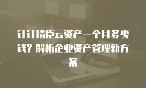 钉钉精臣云资产一个月多少钱？解析企业资产管理新方案