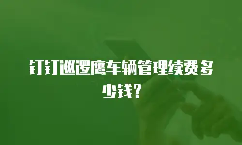 钉钉巡逻鹰车辆管理续费多少钱？