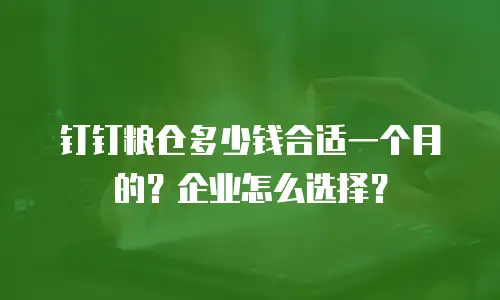 钉钉粮仓多少钱合适一个月的？企业怎么选择？