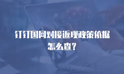 钉钉国网对接返现政策依据怎么查？