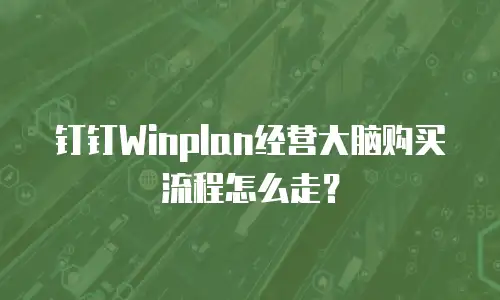 钉钉Winplan经营大脑购买流程怎么走？