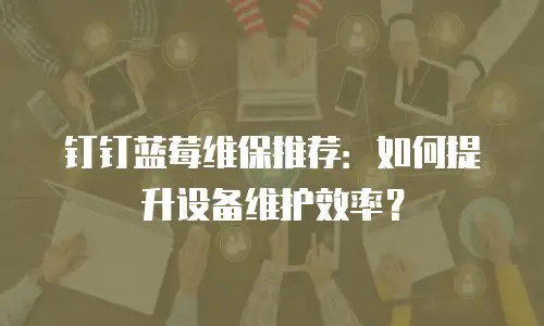 钉钉蓝莓维保推荐：如何提升设备维护效率？