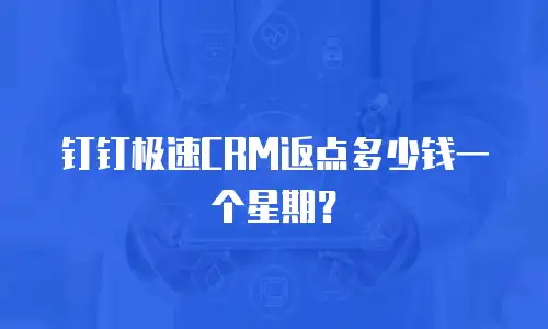 钉钉极速CRM返点多少钱一个星期？