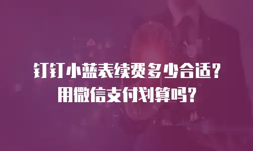 钉钉小蓝表续费多少合适？用微信支付划算吗？