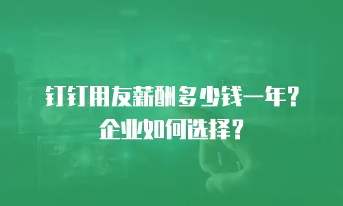 钉钉用友薪酬多少钱一年？企业如何选择？
