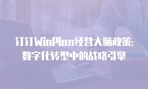 钉钉WinPlan经营大脑政策：数字化转型中的战略引擎