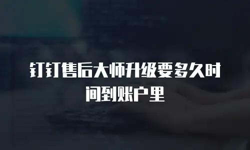 钉钉售后大师升级要多久时间到账户里