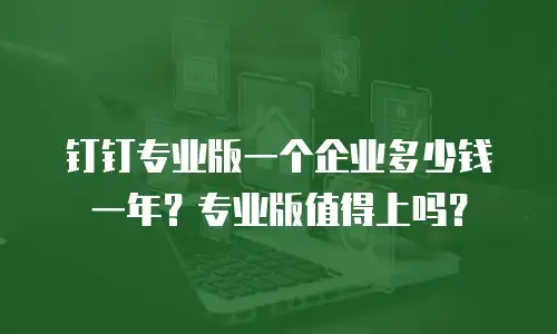 钉钉专业版一个企业多少钱一年？专业版值得上吗？