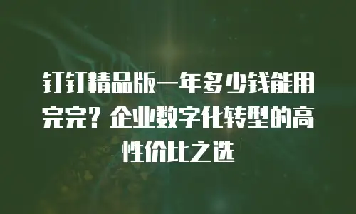 钉钉精品版一年多少钱能用完完？企业数字化转型的高性价比之选