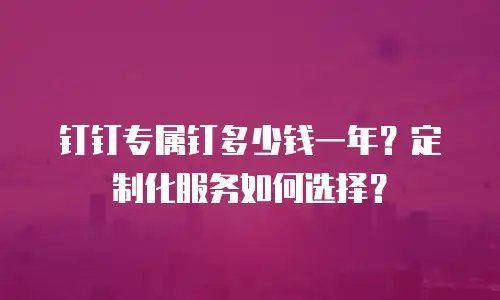钉钉专属钉多少钱一年？定制化服务如何选择？