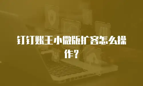 钉钉账王小微版扩容怎么操作？