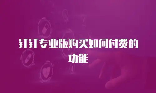 钉钉专业版购买如何付费的功能