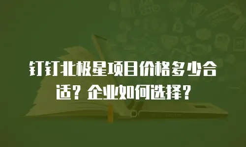 钉钉北极星项目价格多少合适？企业如何选择？