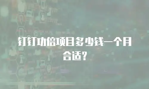 钉钉功倍项目多少钱一个月合适？