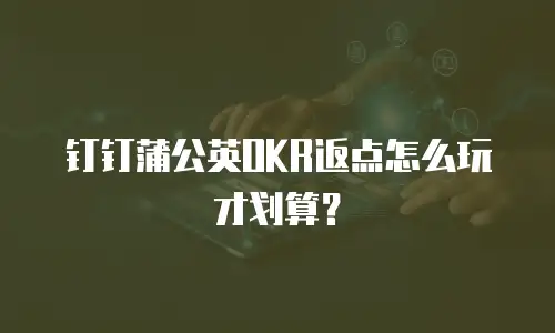 钉钉蒲公英OKR返点怎么玩才划算？