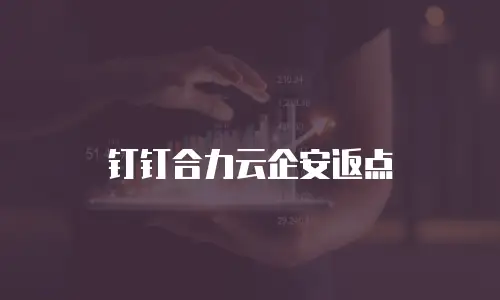 钉钉合力云企安返点