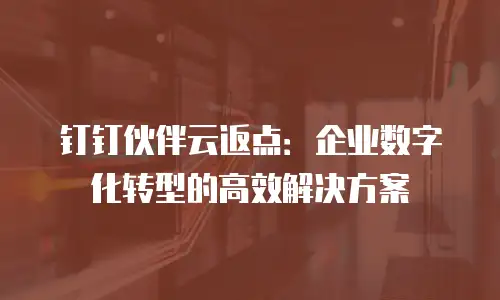 钉钉伙伴云返点：企业数字化转型的高效解决方案