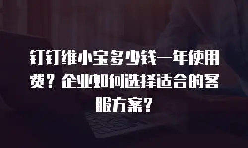 钉钉维小宝多少钱一年使用费？企业如何选择适合的客服方案？