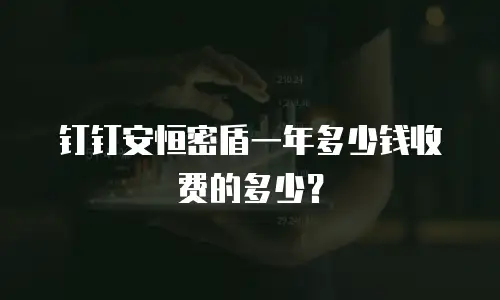 钉钉安恒密盾一年多少钱收费的多少？