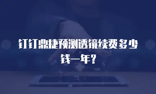 钉钉鼎捷预测透镜续费多少钱一年？