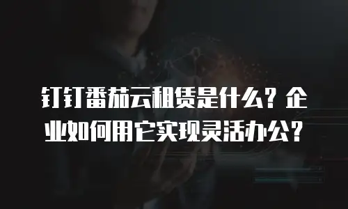 钉钉番茄云租赁是什么？企业如何用它实现灵活办公？