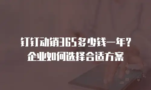 钉钉动销365多少钱一年？企业如何选择合适方案