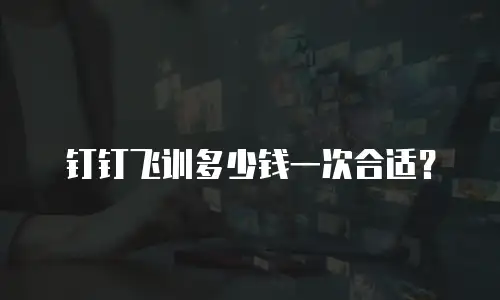 钉钉飞训多少钱一次合适？
