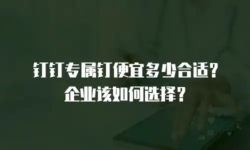 钉钉专属钉便宜多少合适？企业该如何选择？