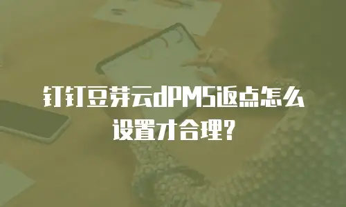 钉钉豆芽云dPMS返点怎么设置才合理？